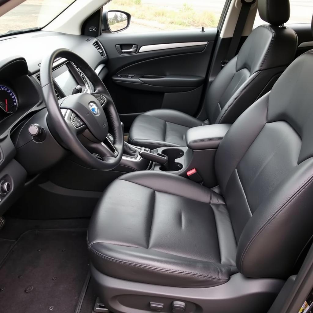 Interior Car Detailing: Deep Cleaning and Conditioning