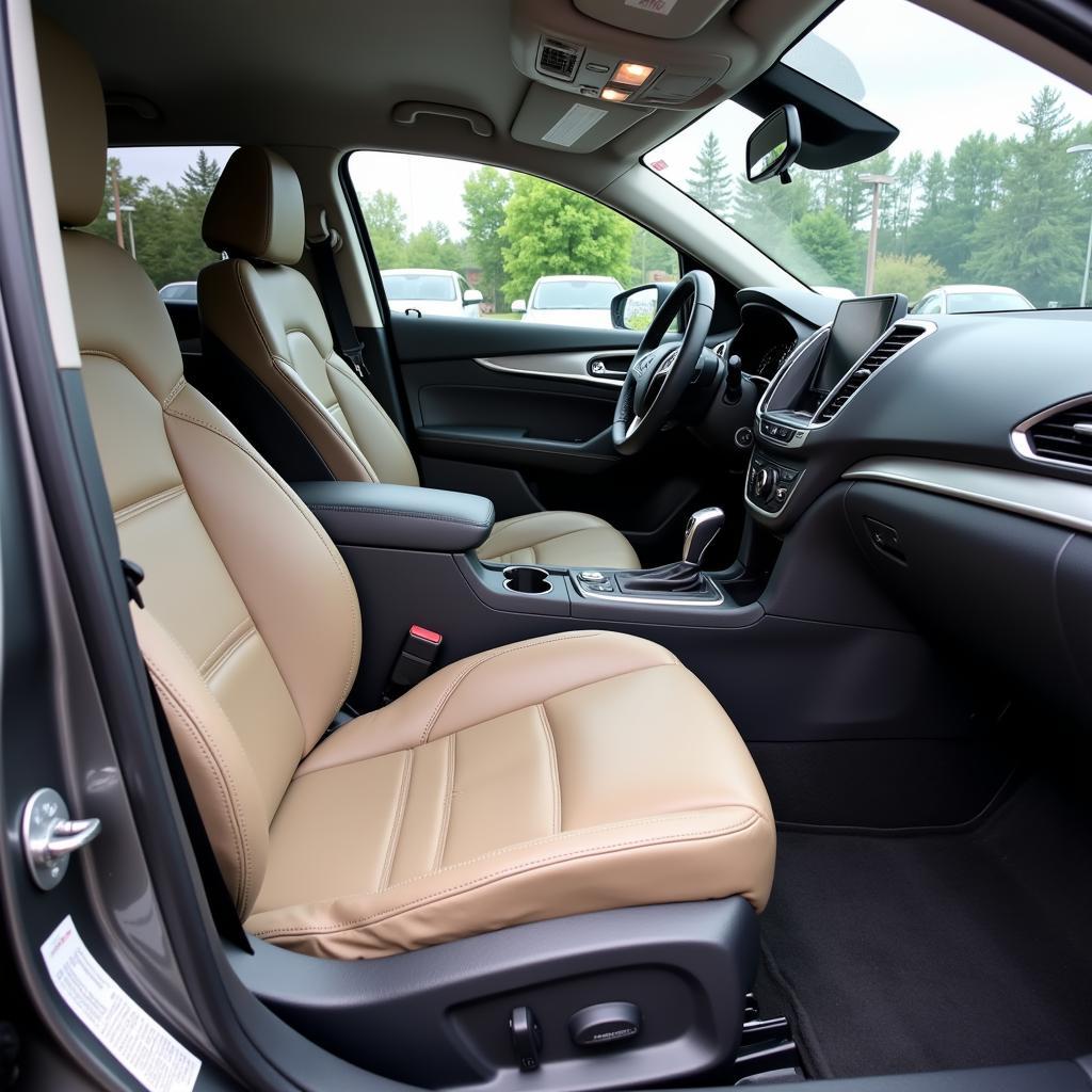 Professional Interior Car Detailing in Colorado Springs