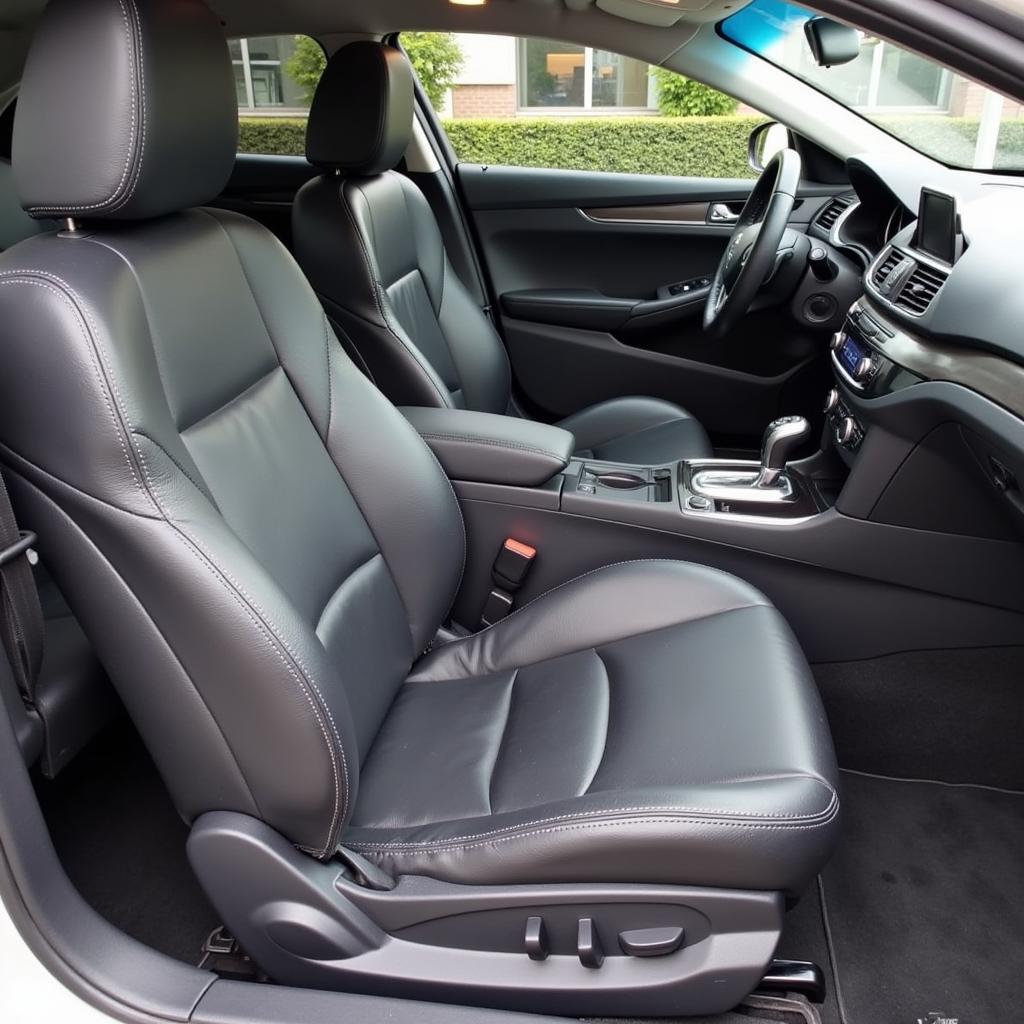 Professional Interior Car Detailing in Covington, Georgia