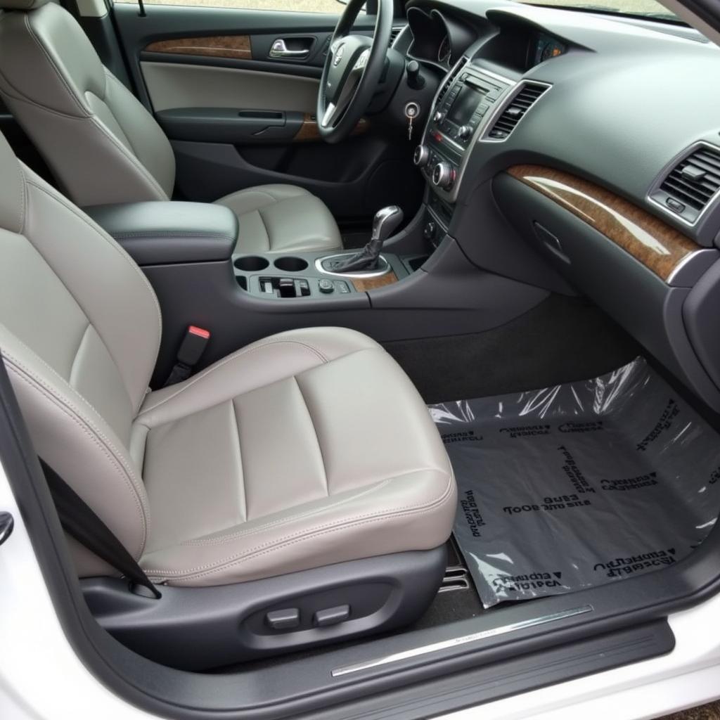 Interior Car Detailing in Delaware County PA