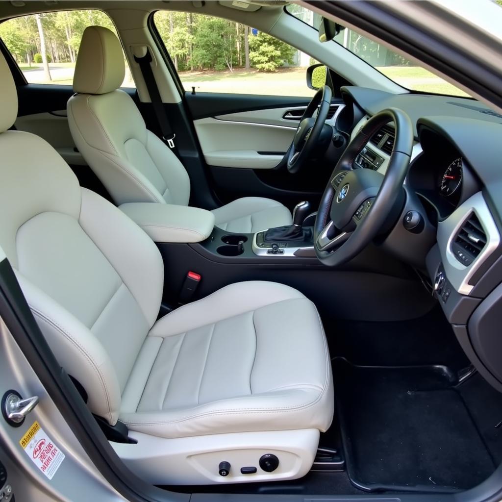 Interior Car Detailing Services in Essex, MA