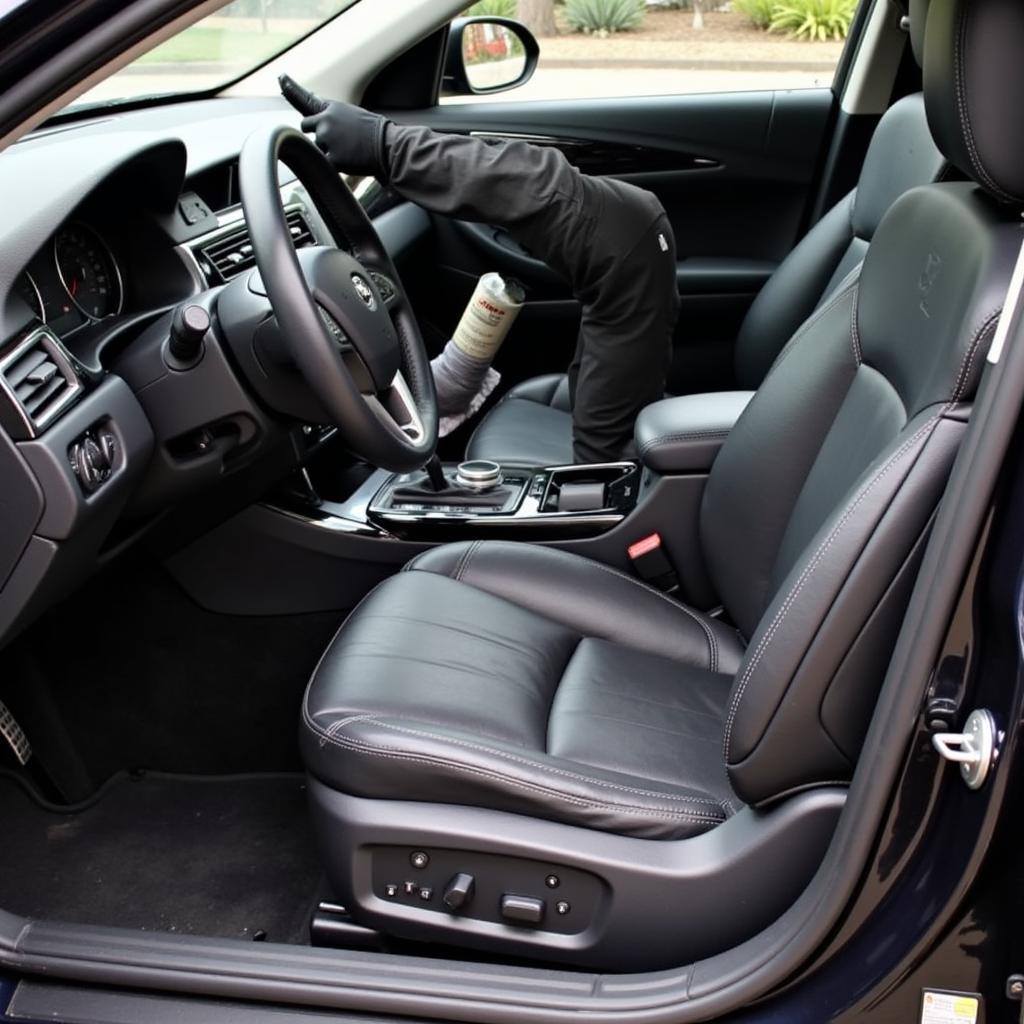 Interior Car Detailing Services in Liberty, MO