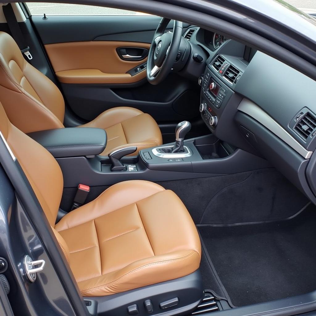 Interior Car Detailing in Livingston