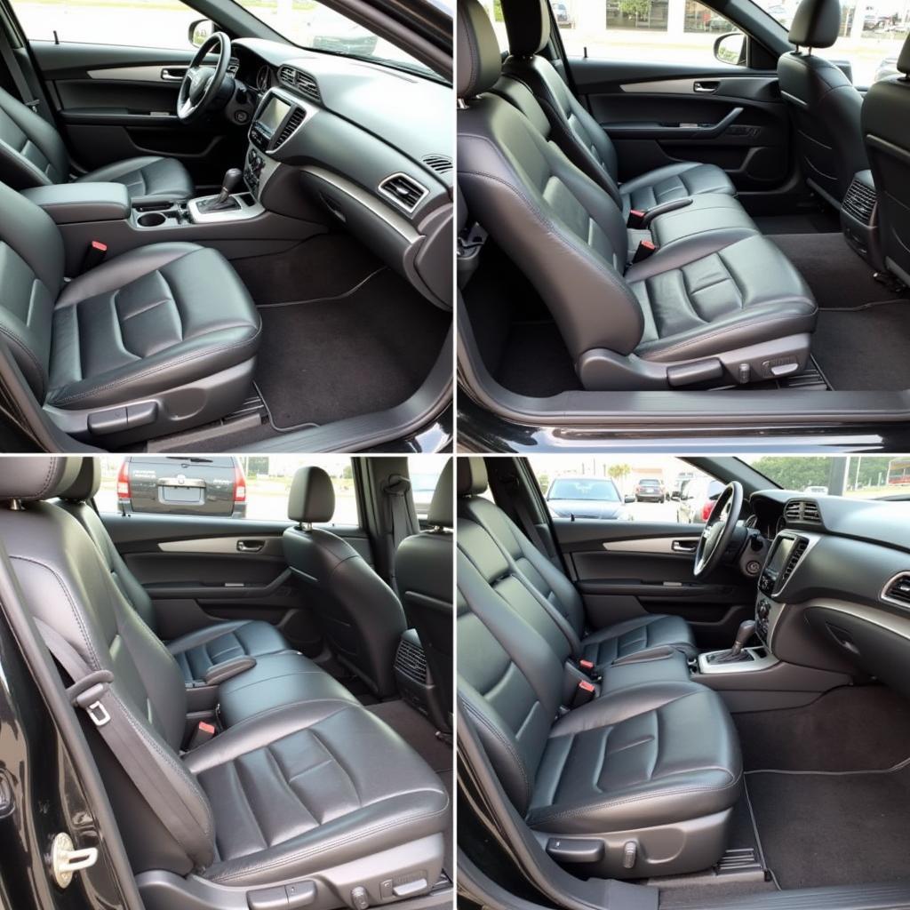 Interior Car Detailing Services in Naples FL