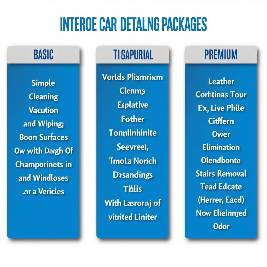 Interior Car Detailing Packages: Basic, Standard, and Premium Options