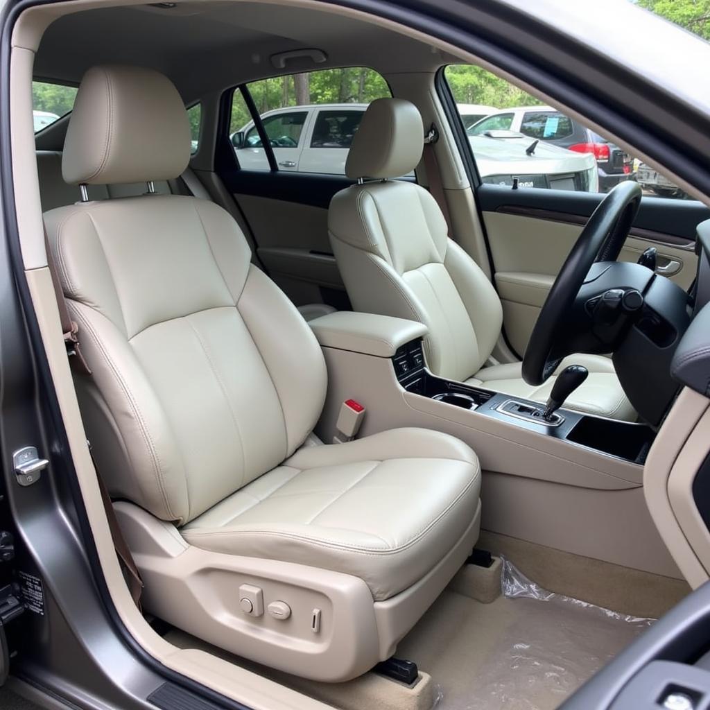 Interior car detailing in Puerto Rico