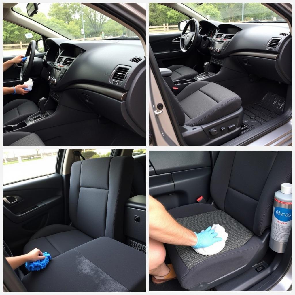 Interior Car Detailing Services