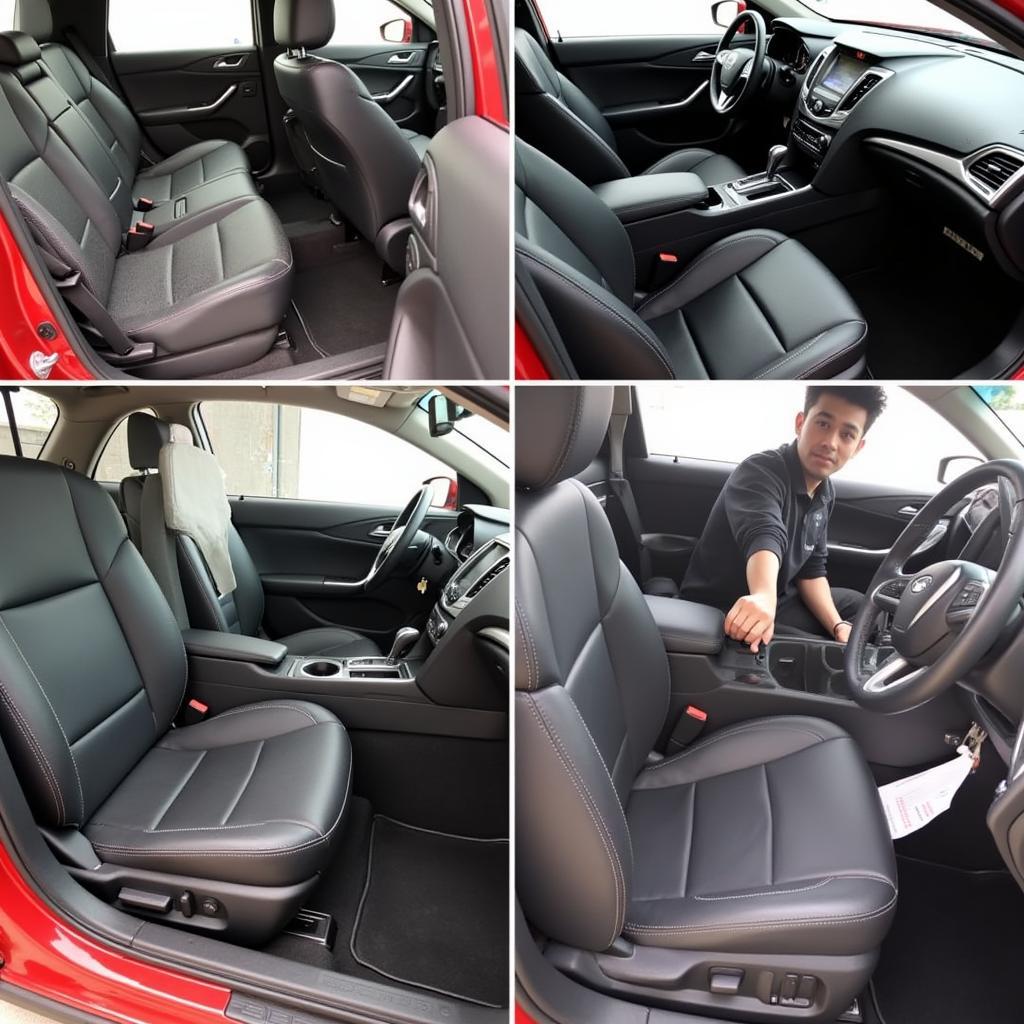 Professional Interior Car Detailing Services