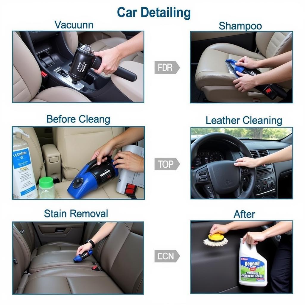 Interior Car Detailing Services Options