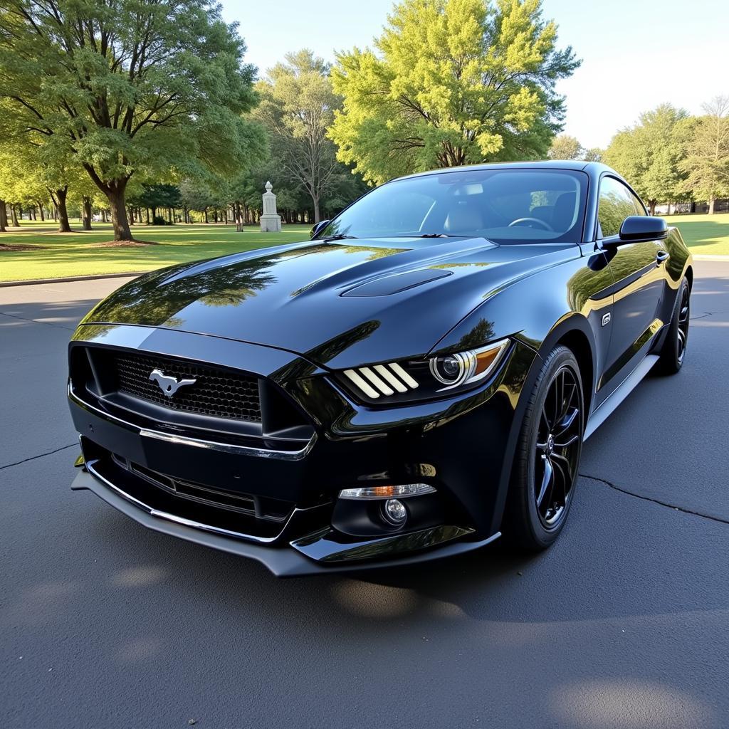 Shiny-Car-After-Jojoba-Oil-Application