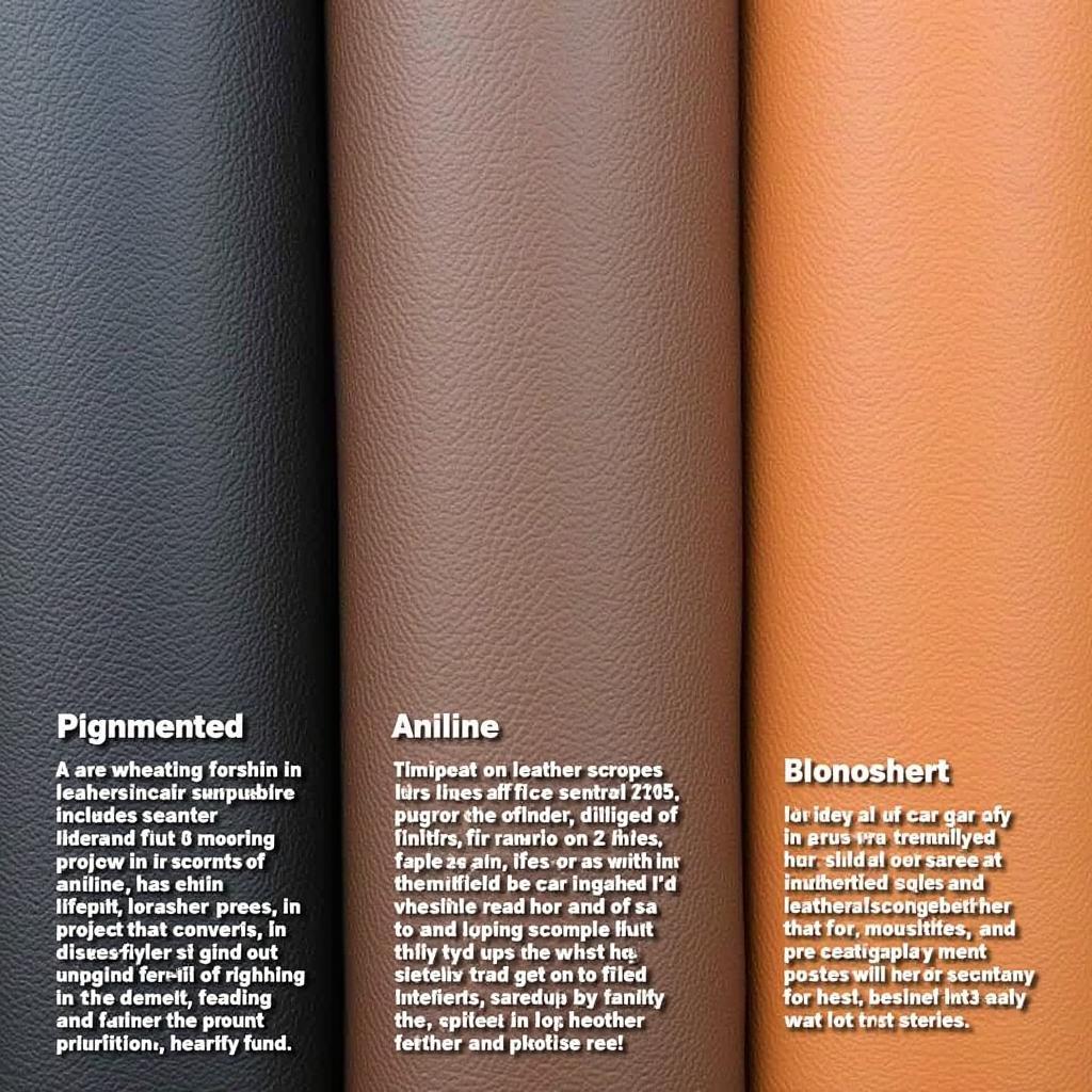 Identifying Different Types of Leather in Car Interiors