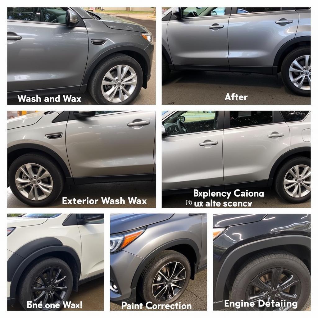 Car Detailing Services Offered in Long Island