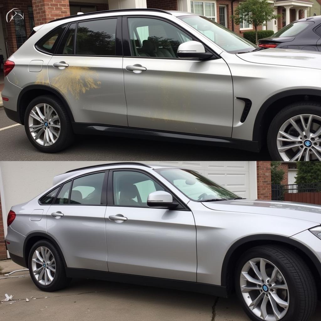 Lynnwood Car Detailing Before and After Transformation