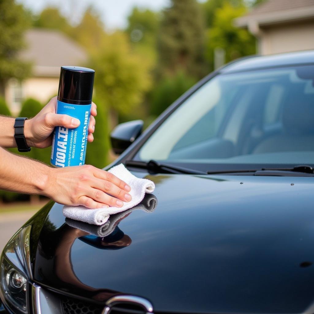 Maintaining Your Detailed Car in Ozaukee County