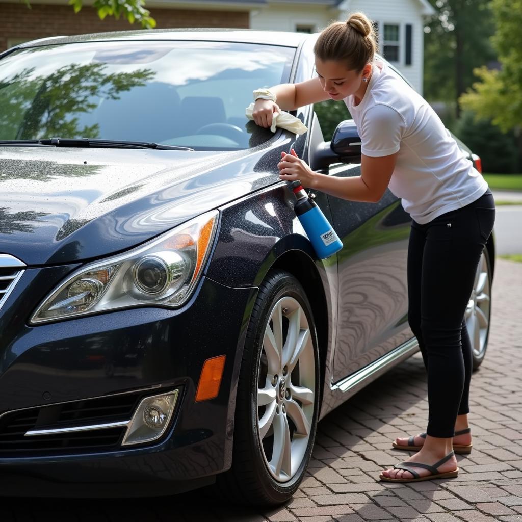 Maintaining Car Detail in Charlottesville