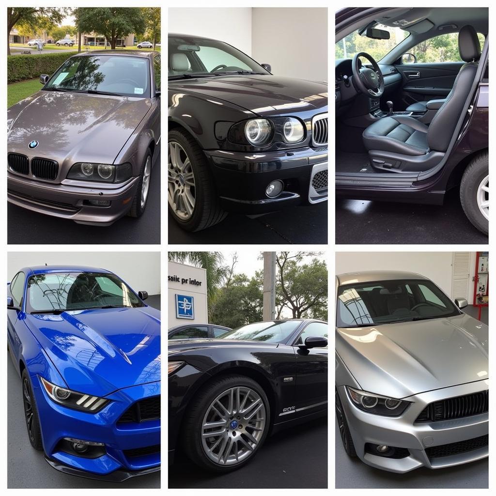 Car Detailing Services in Miami