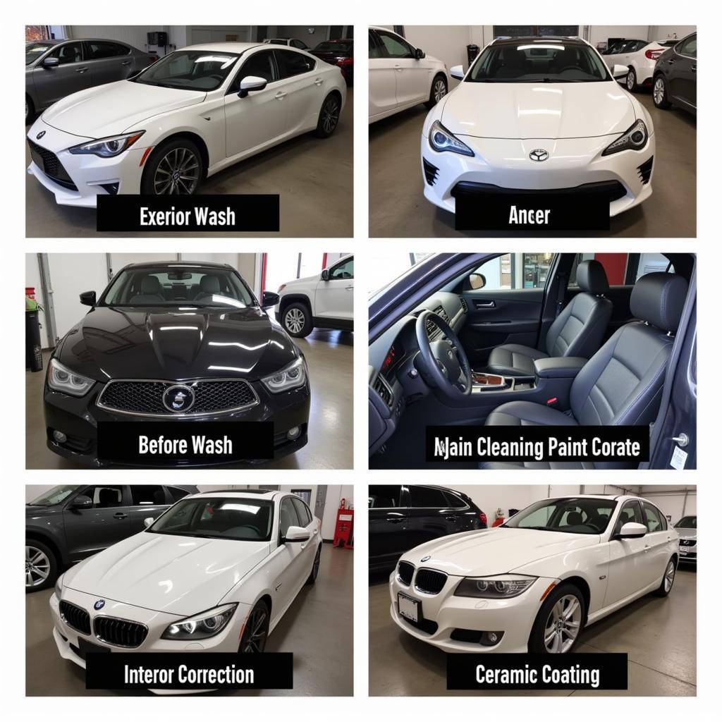 Milwaukee Car Detailing Services Showcase