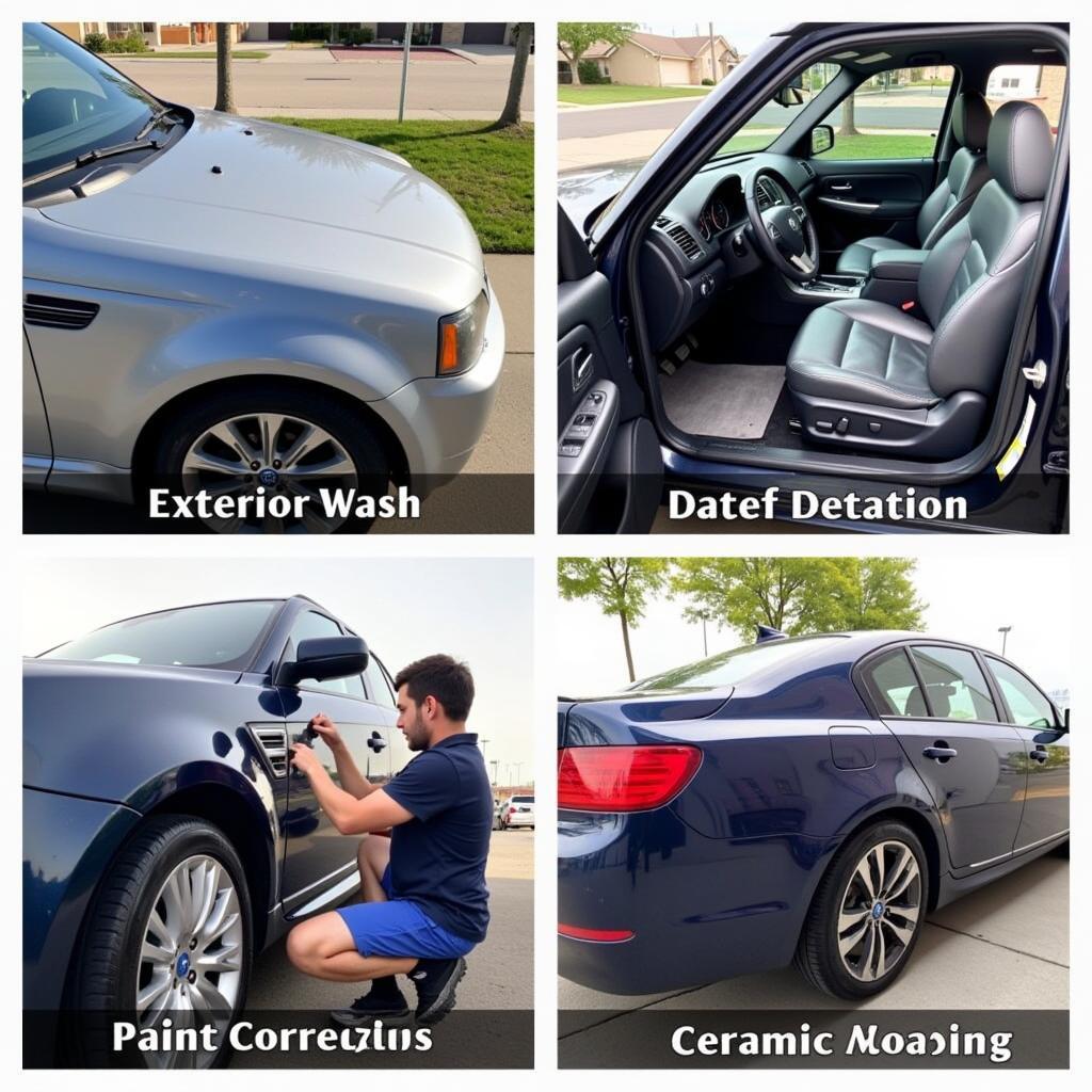 Mobile car detailing services offered