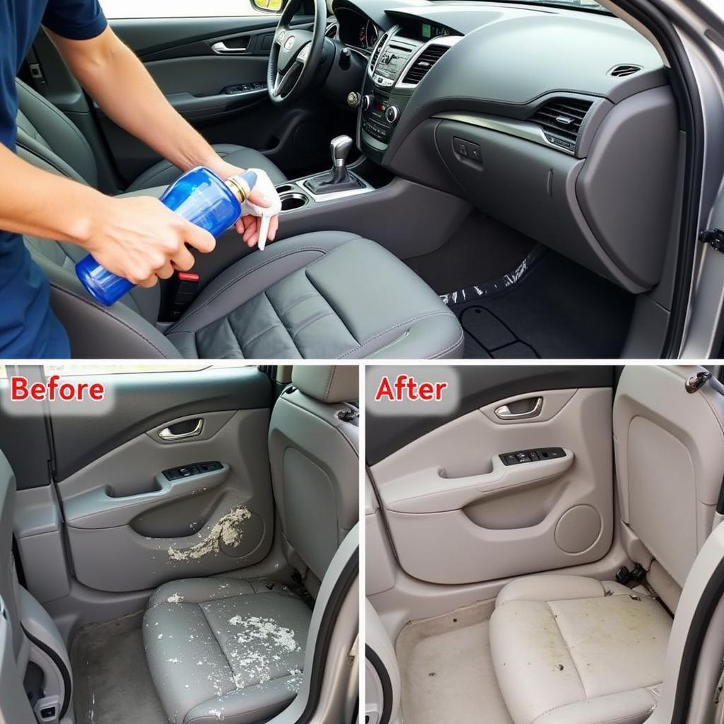 Mold Remediation in Car Detailing