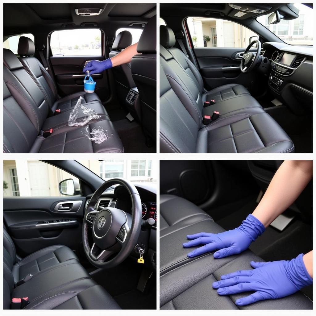 Moxy Car Detailing Deep Interior Cleaning and Conditioning