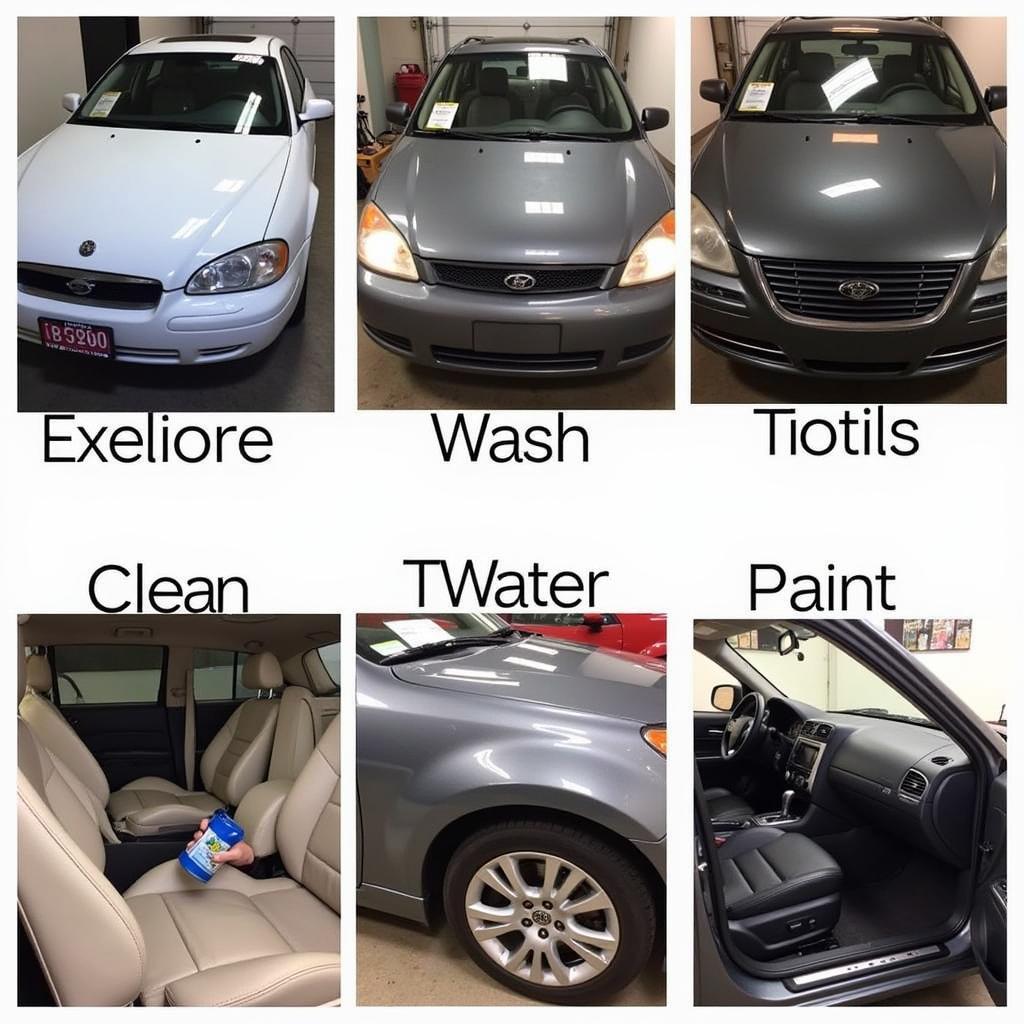 Natick Car Detailing Services Offered