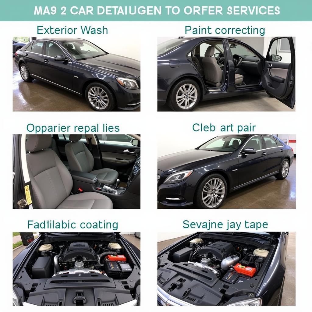 Northern Beaches Car Detailing Services: A Range of Options