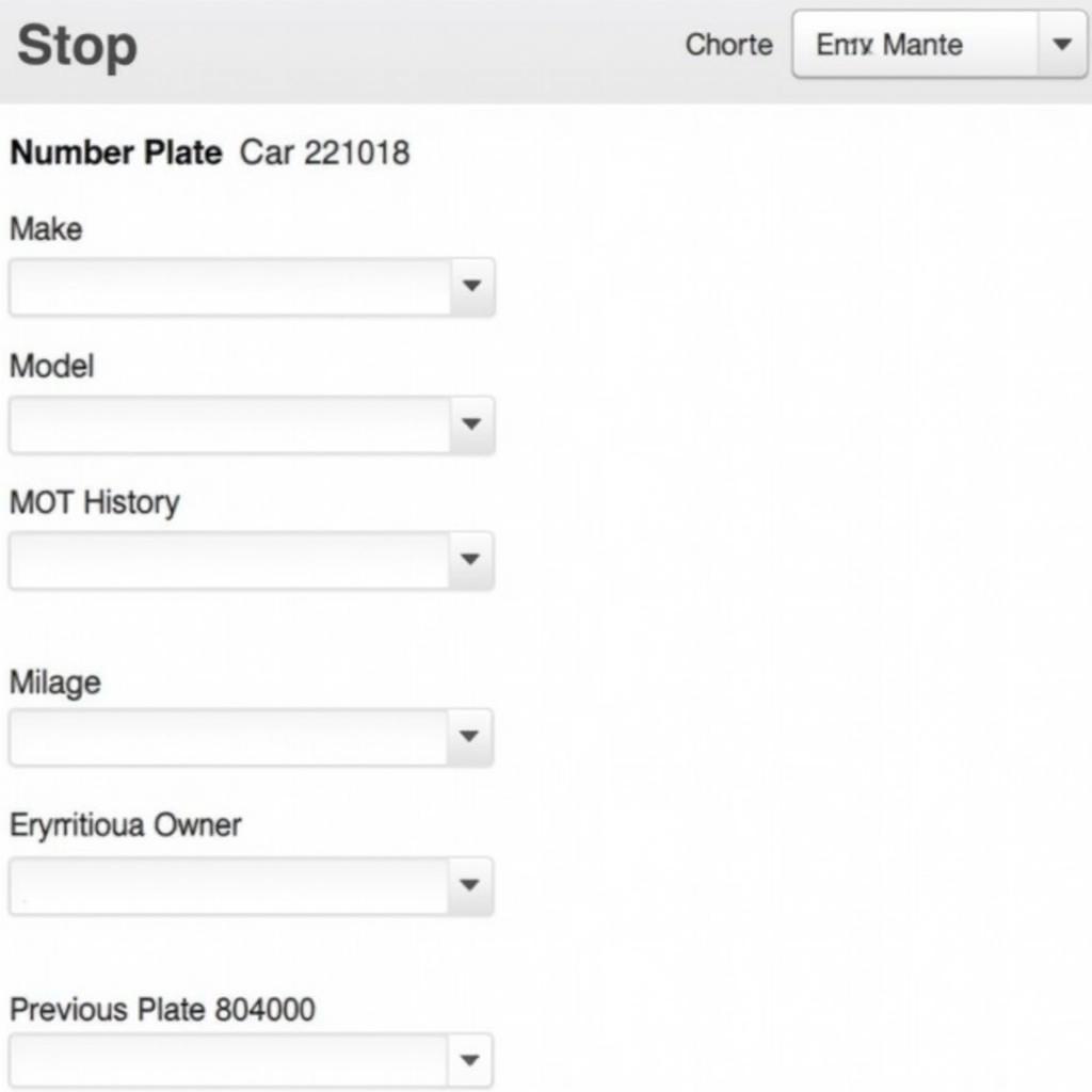 Online vehicle check service screenshot showing detailed car information