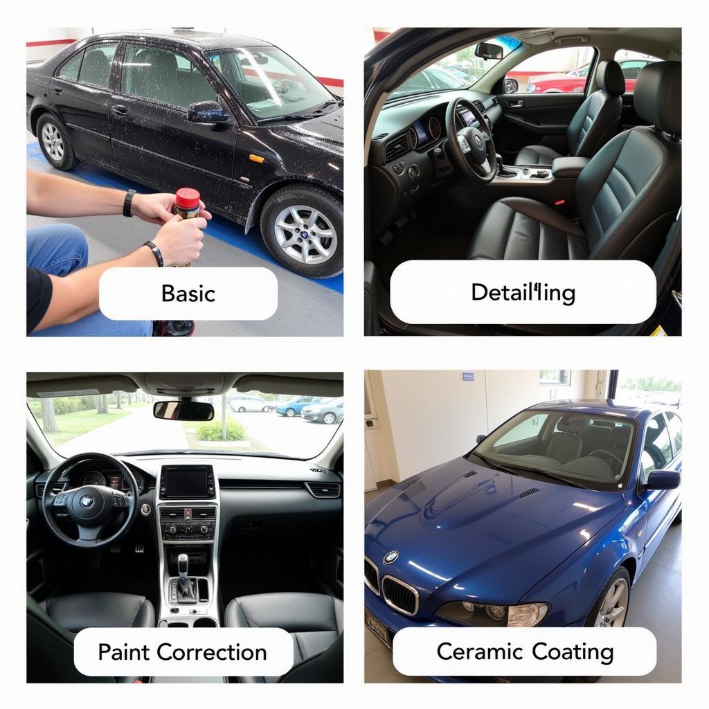 Orlando Car Detailing Services - A range of options from basic washes to high-end paint correction.