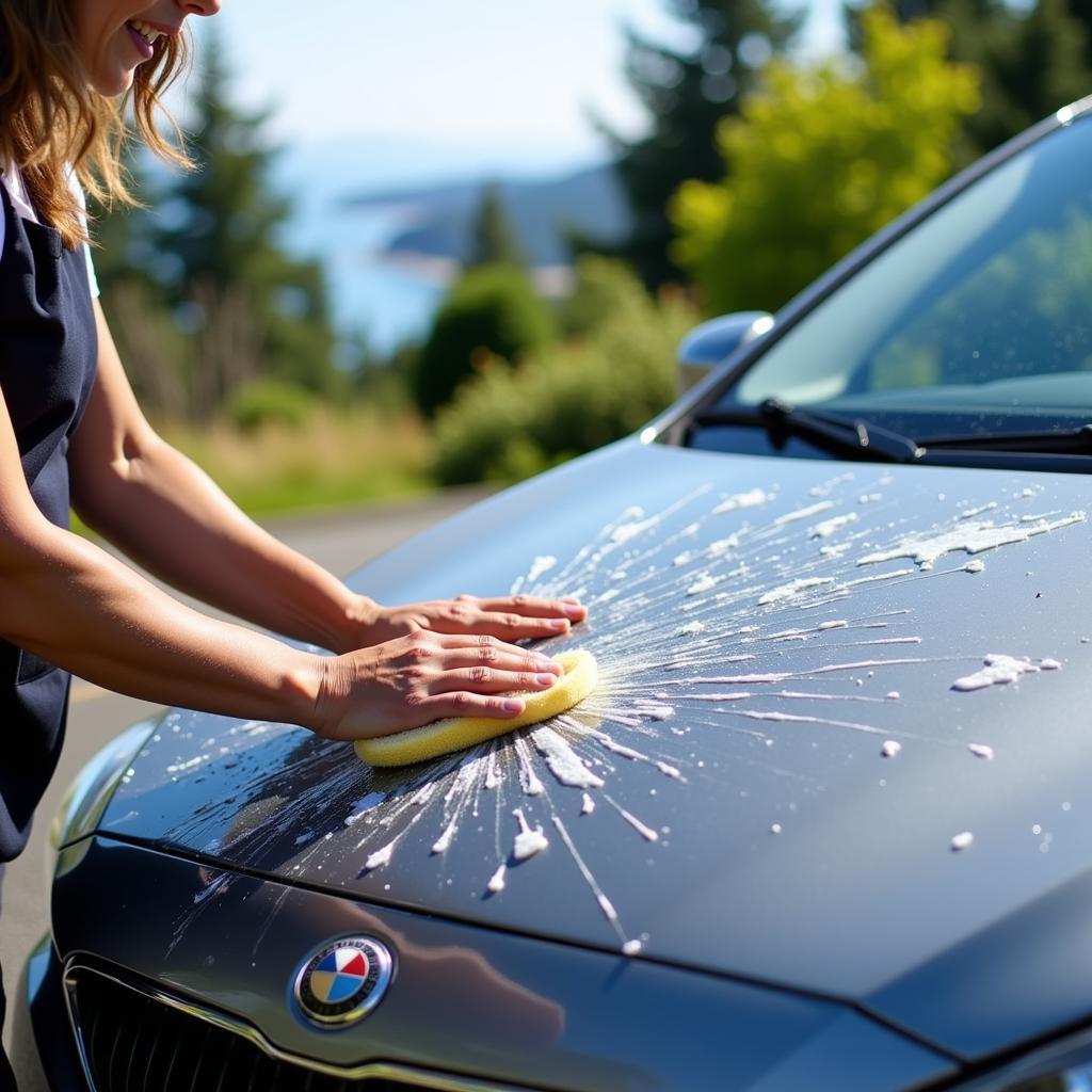 Exterior Car Wash in Parksville