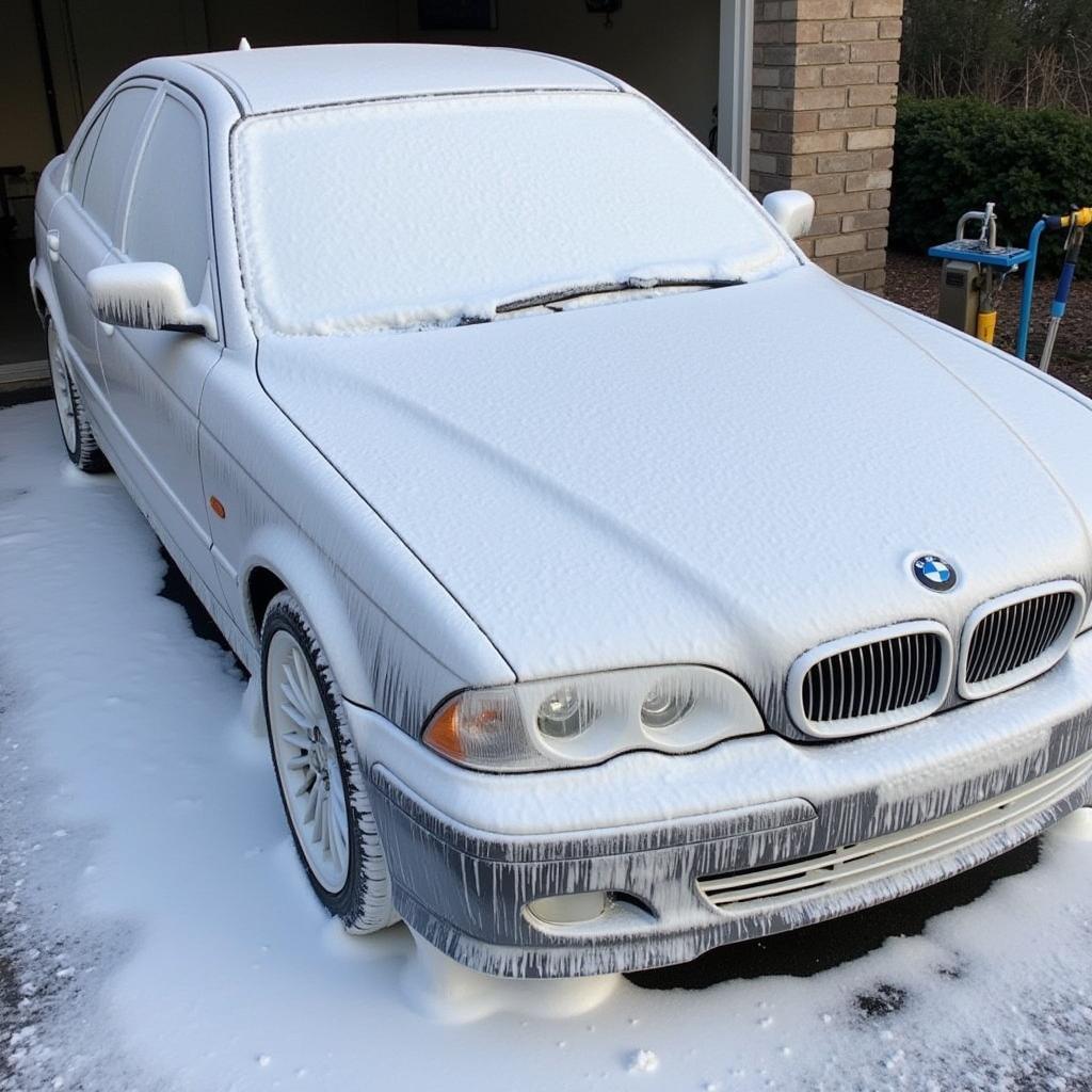 Pre-Wash and Snow Foam Application for Car Detailing