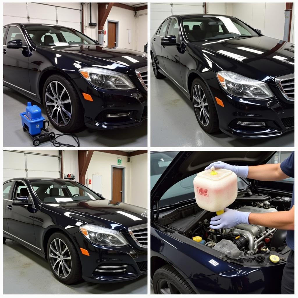 Premium Car Detailing Services in Action