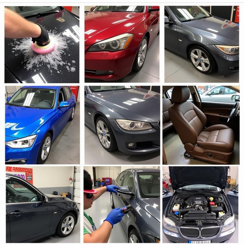 Professional Car Detailing Process