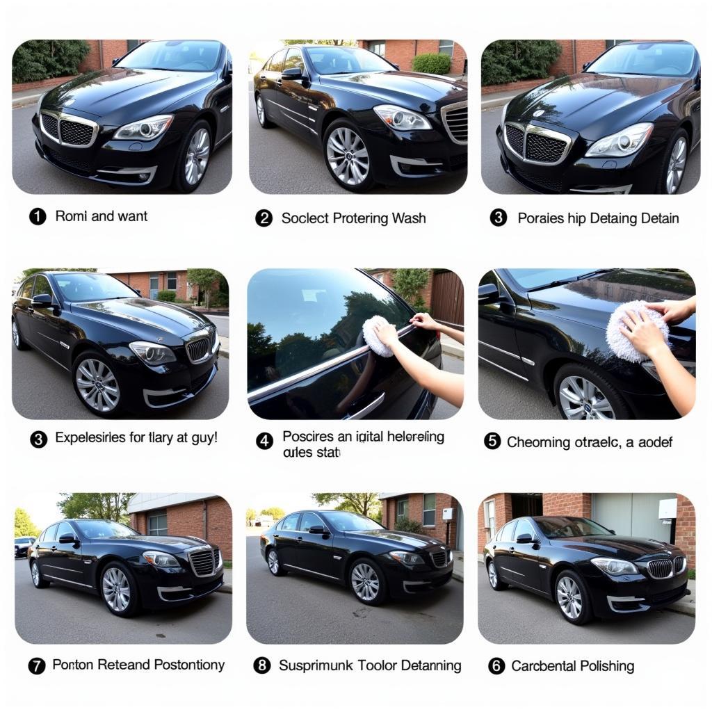 Professional Car Detailing Process Step-by-Step