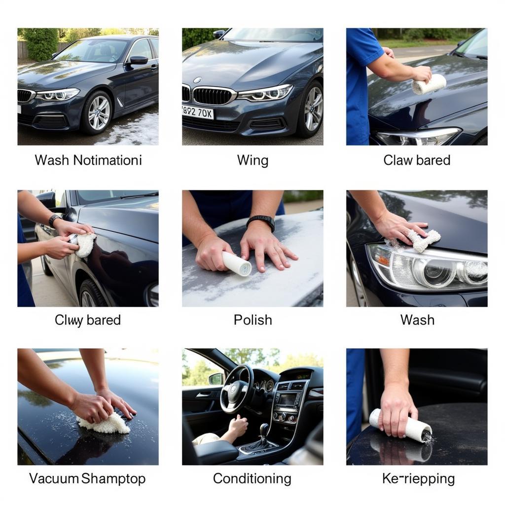 Professional Car Detailing Process