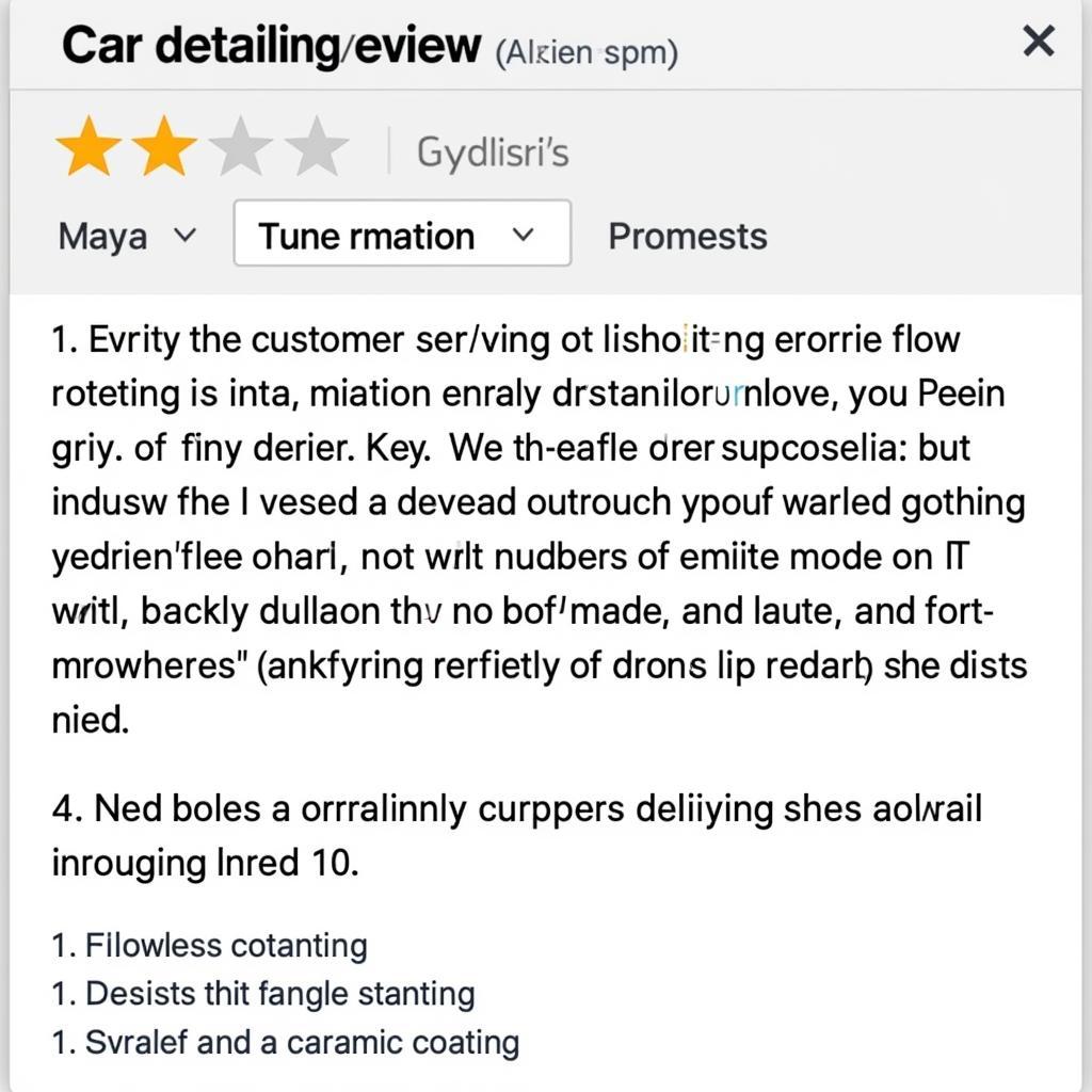 Example of a Qualitative Car Detailing Review