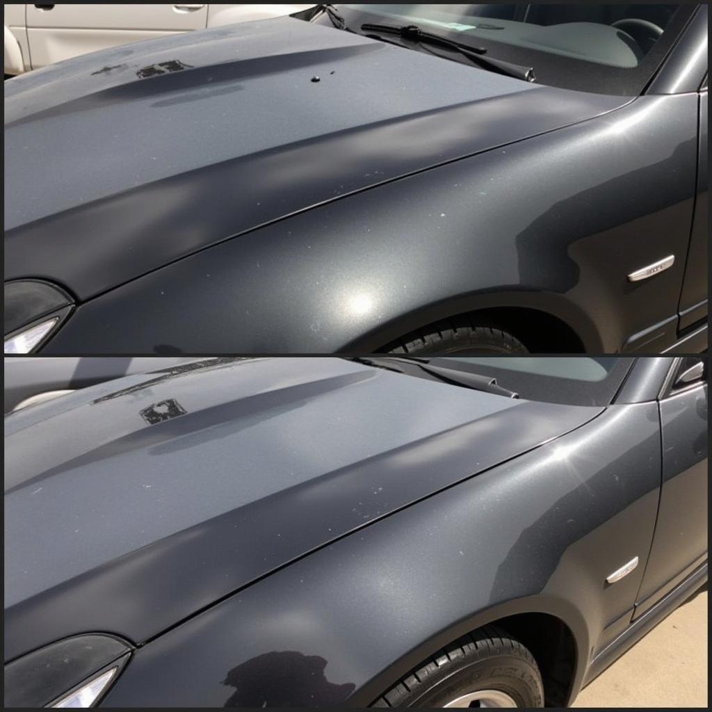 Redmond Car Detailing Paint Correction