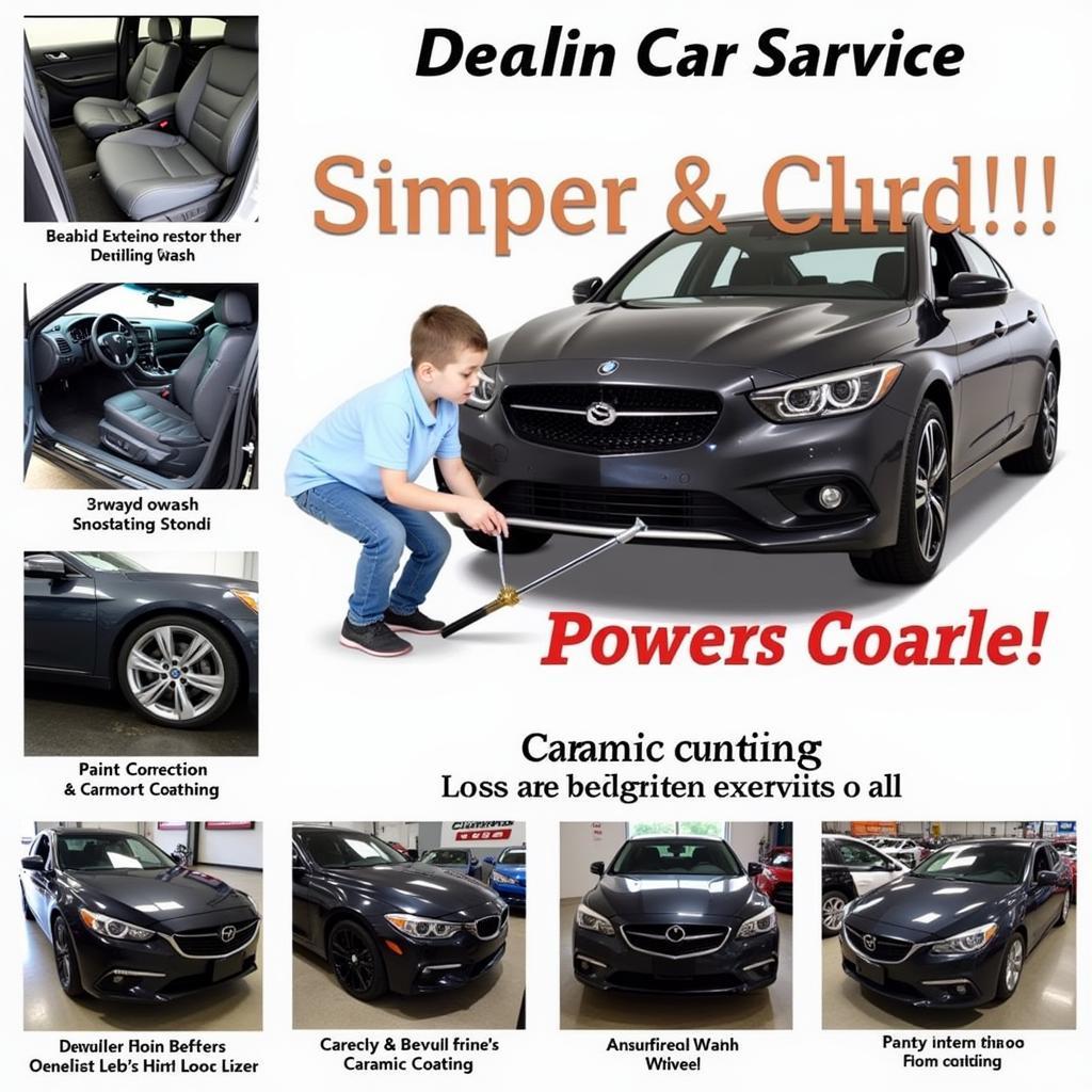 Sarasota Car Detailing Services