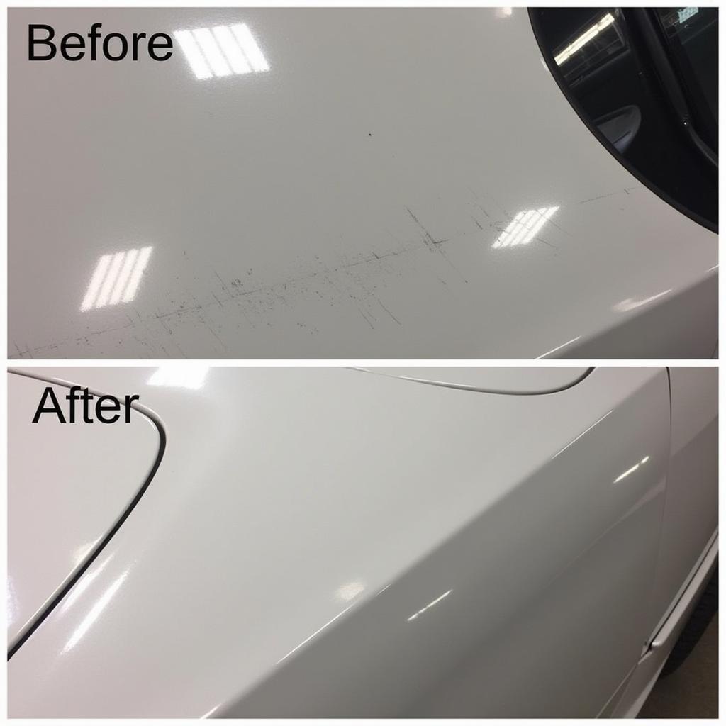 Savannah Car Detailing Paint Correction