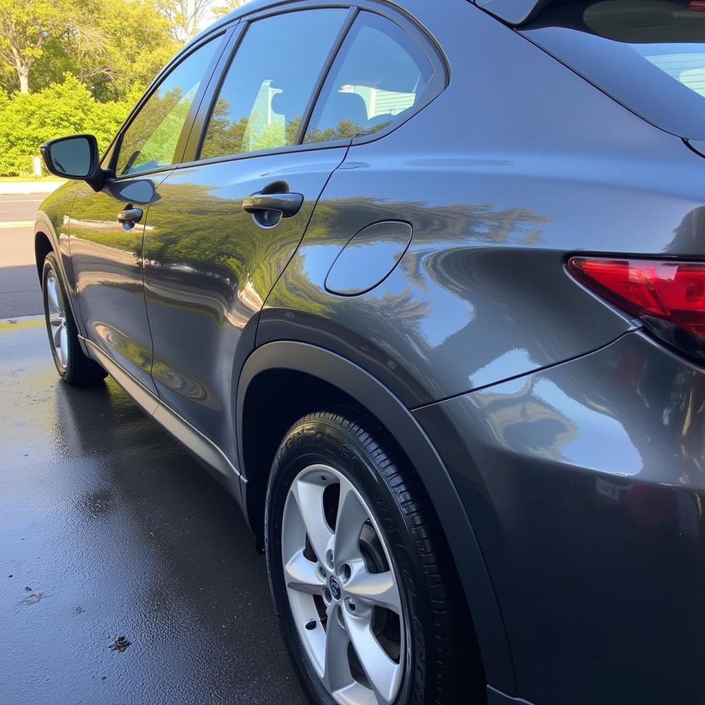 Shiny waxed car