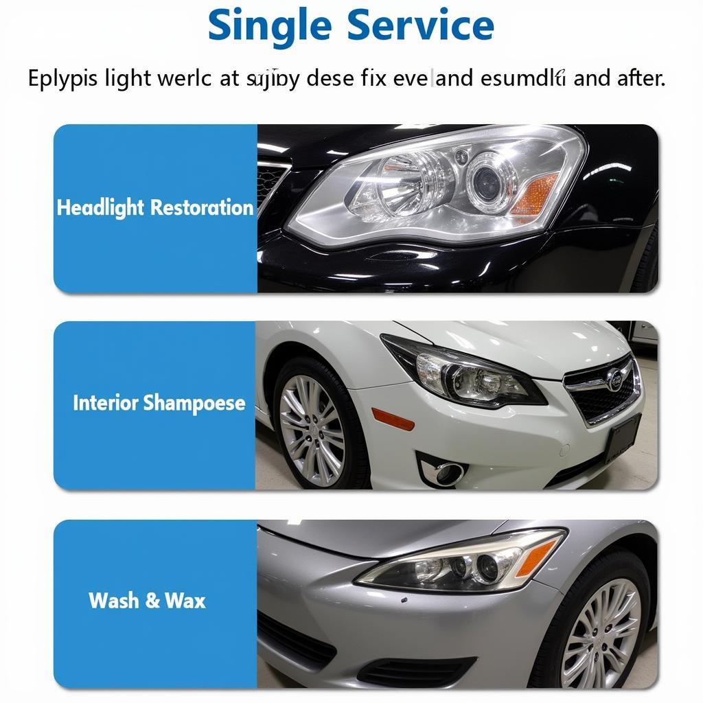 Single Service Car Detailing Options