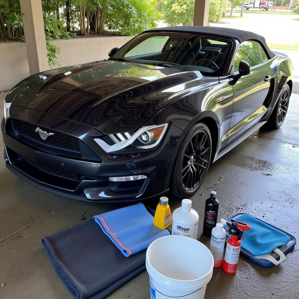 Sports Car Wash Preparation