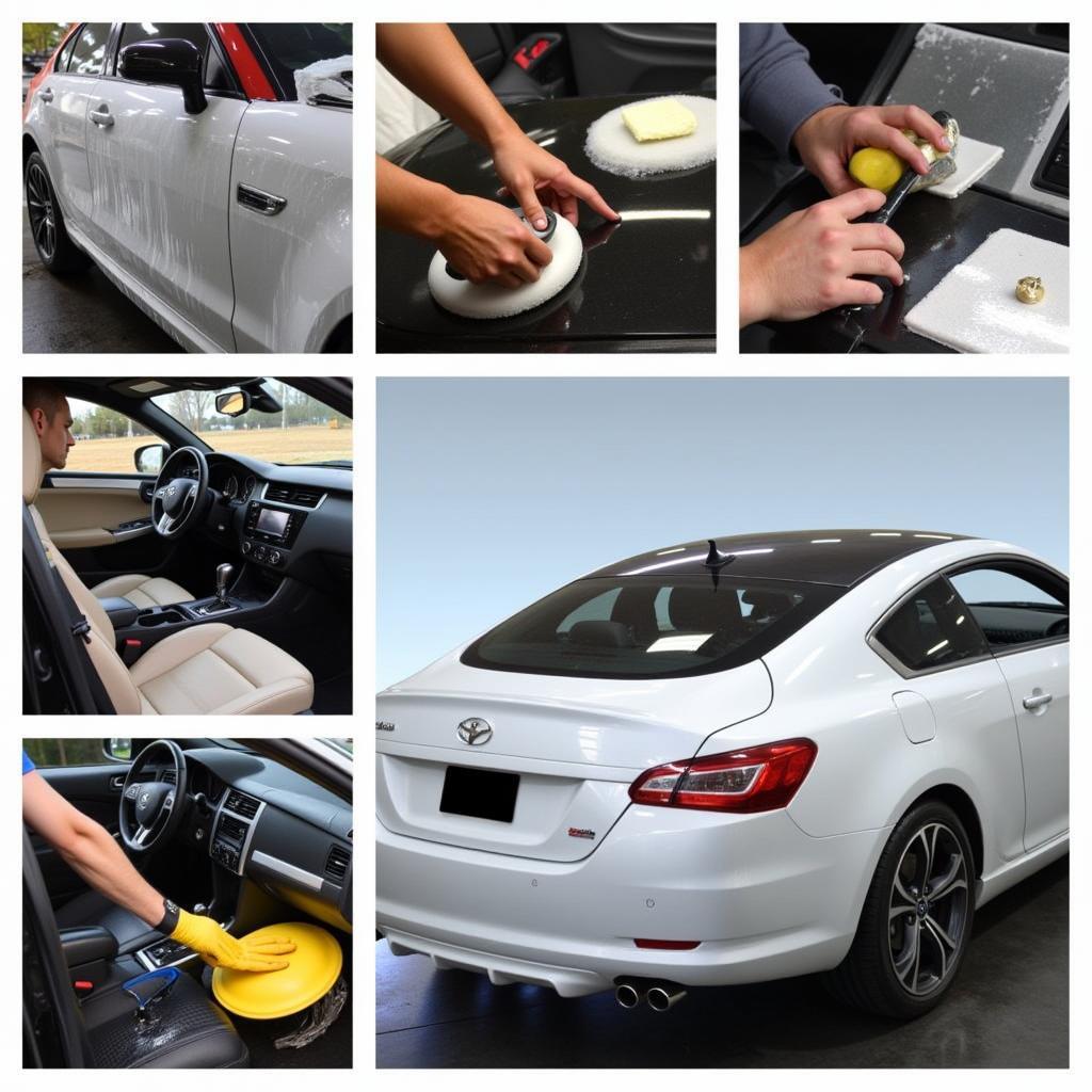 Springfield Car Detailing Services Overview