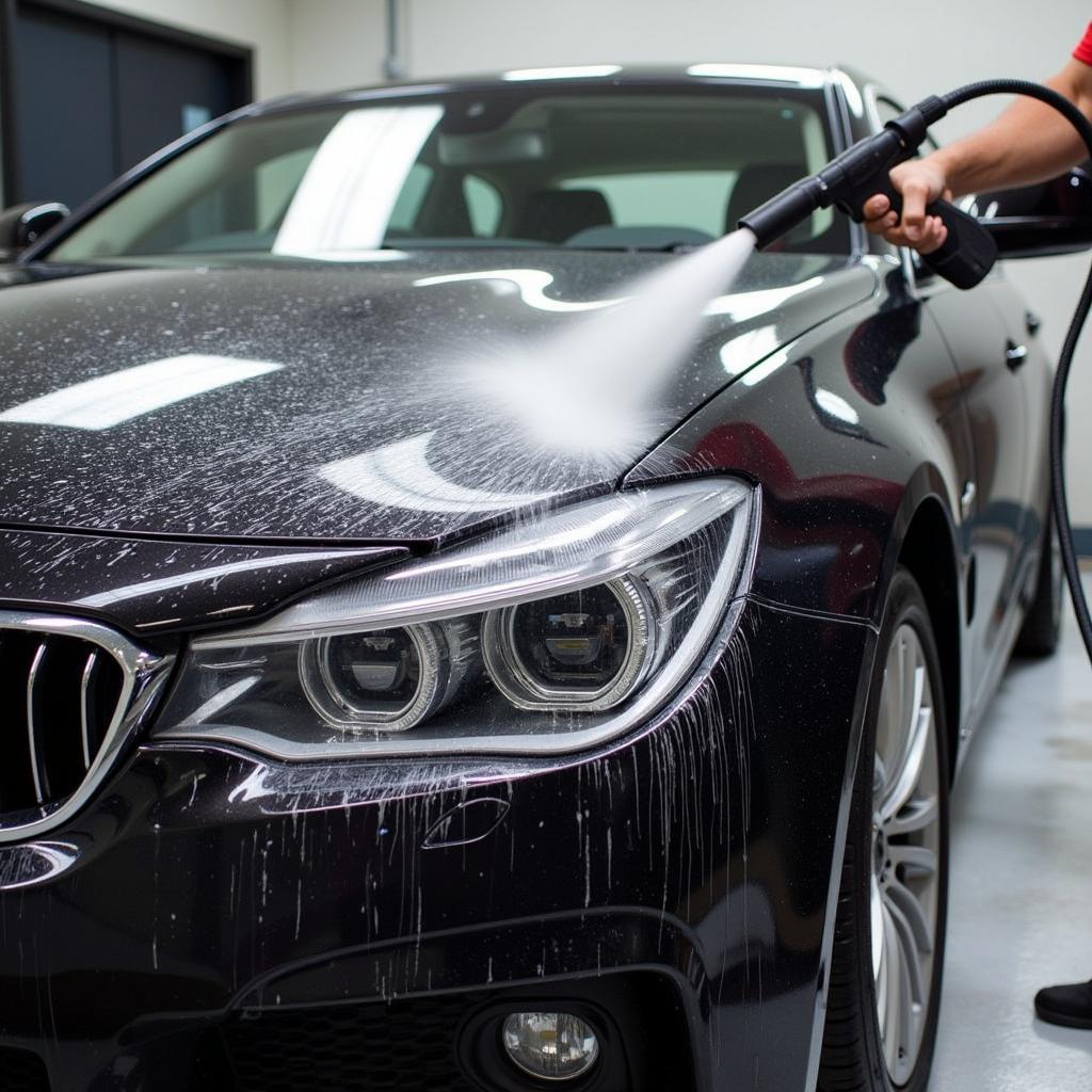 Professional car detailing exterior wash in Sydney