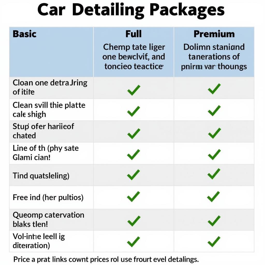 Tampa Car Detailing Packages