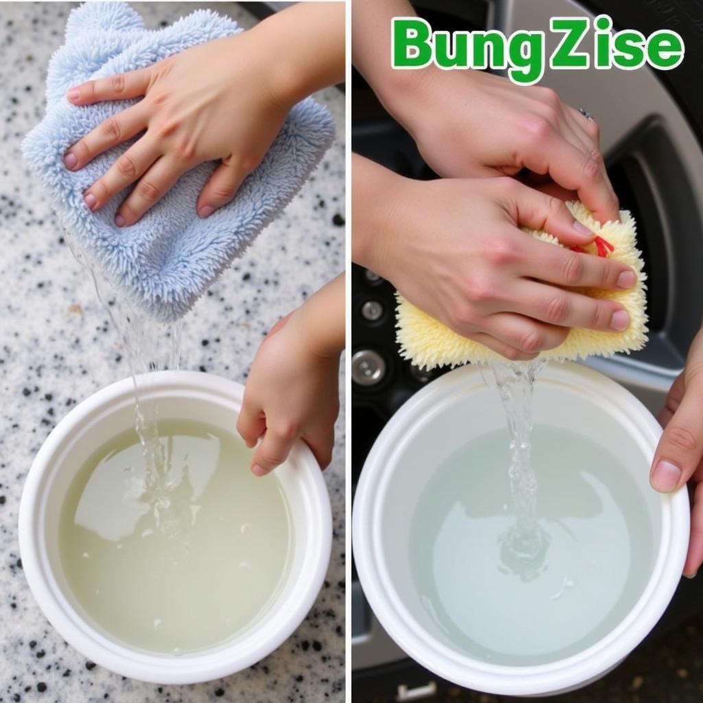 Two-Bucket Car Wash Method Demonstration