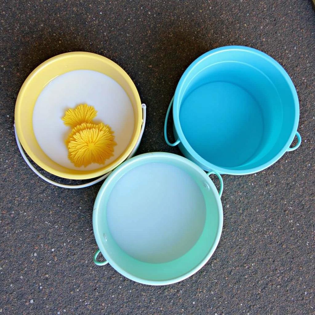 Using the two-bucket method for car washing