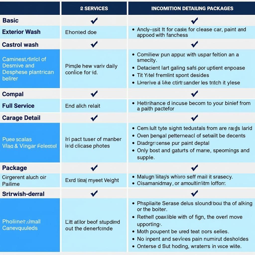 Different Types of Car Detailing Services: A chart comparing basic wash, interior detailing, and full-service detailing.