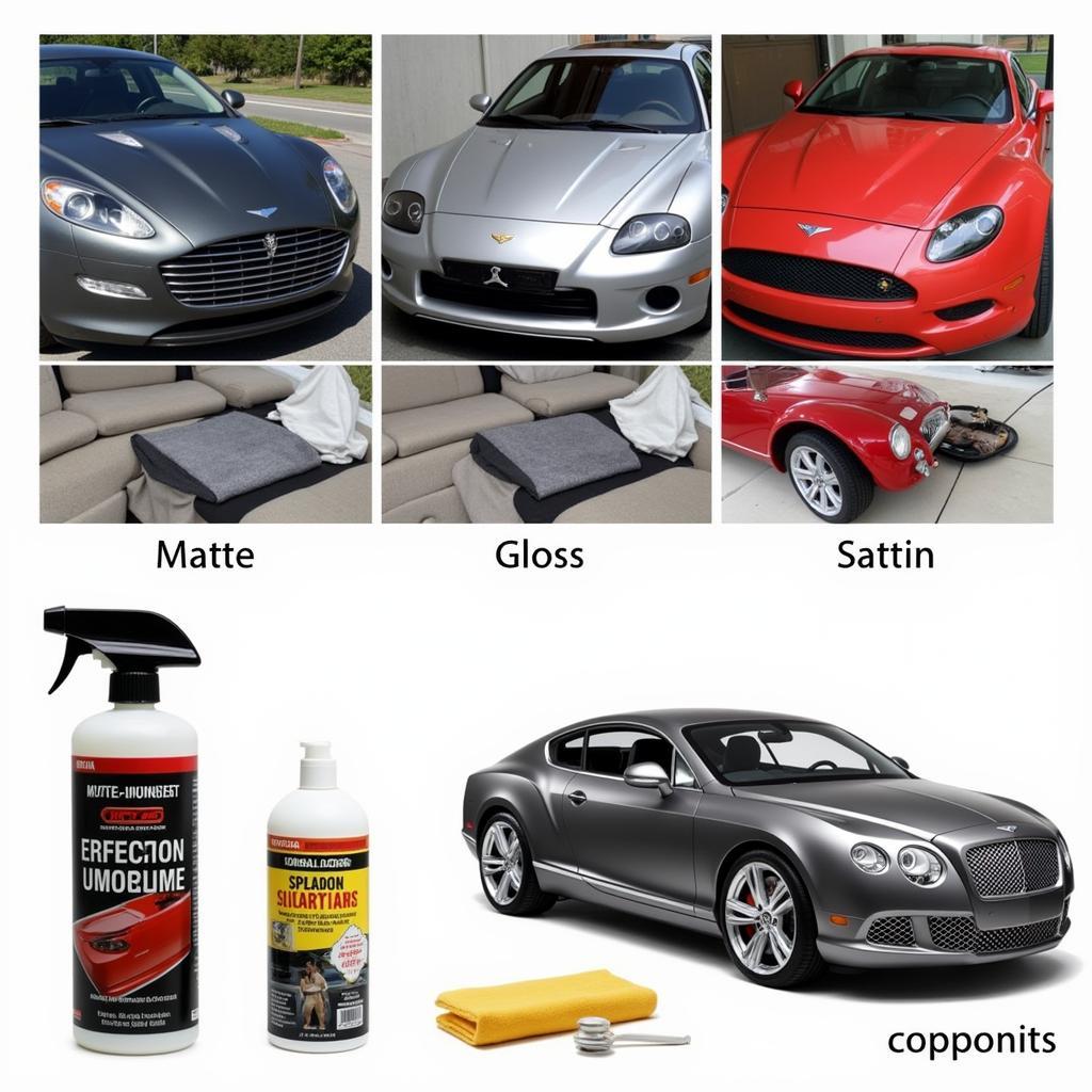 Variety of Car Wraps and Detailing Packages Available