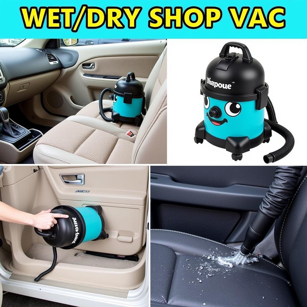 Wet/Dry Shop Vac for Car Detailing