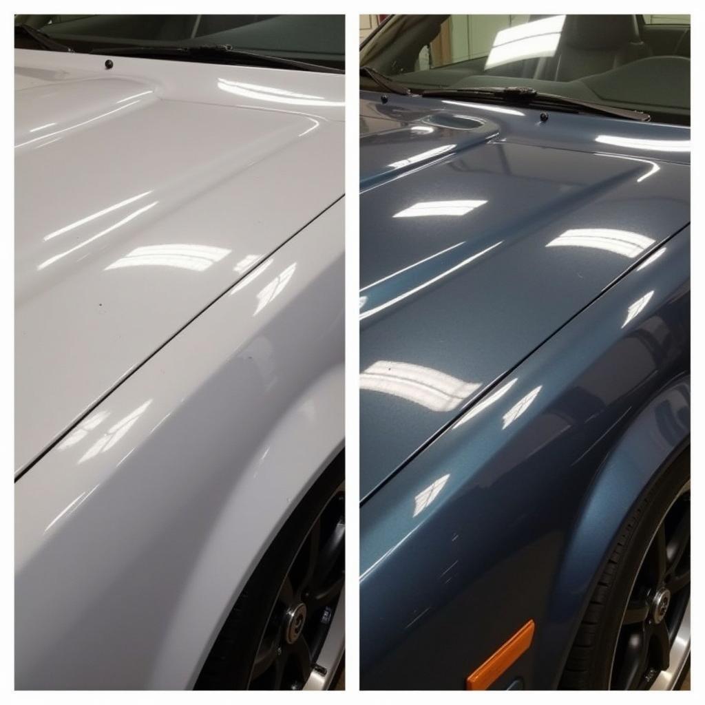 Wheaton Car Detailing Paint Protection